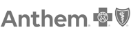 Anthem Anthem logo